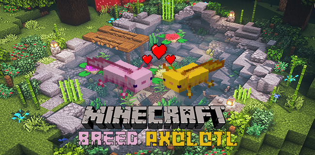 Cómo Criar Axolotl en Minecraft